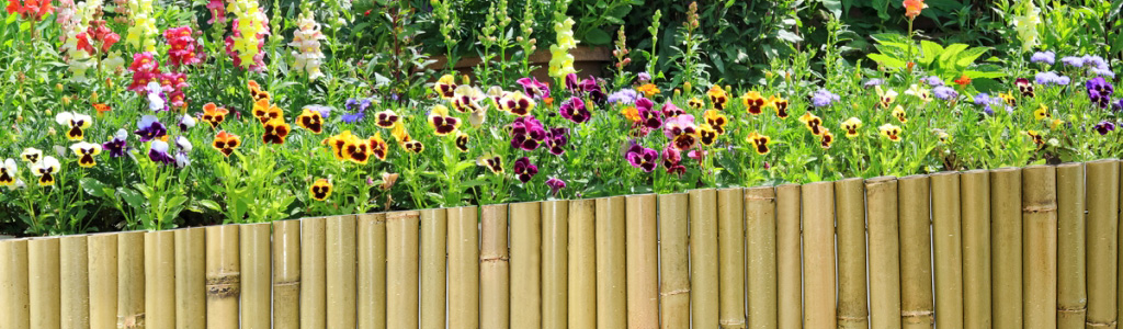 Bamboo Edging